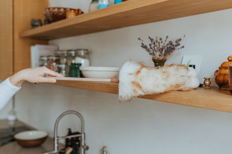 Cat-Friendly Businesses