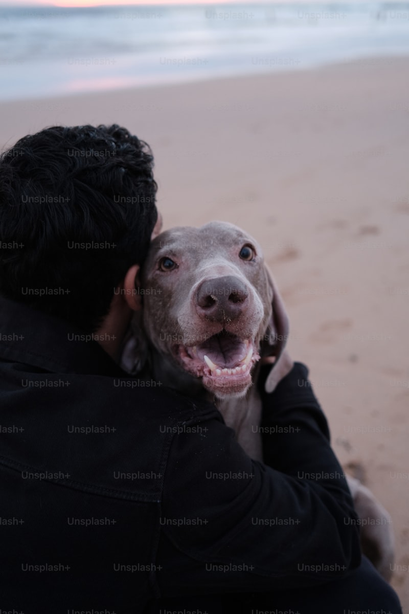 The Human-Dog Bond